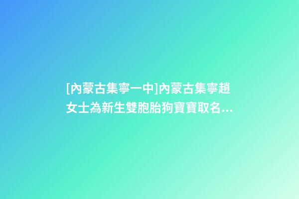 [內蒙古集寧一中]內蒙古集寧趙女士為新生雙胞胎狗寶寶取名時尚型套餐